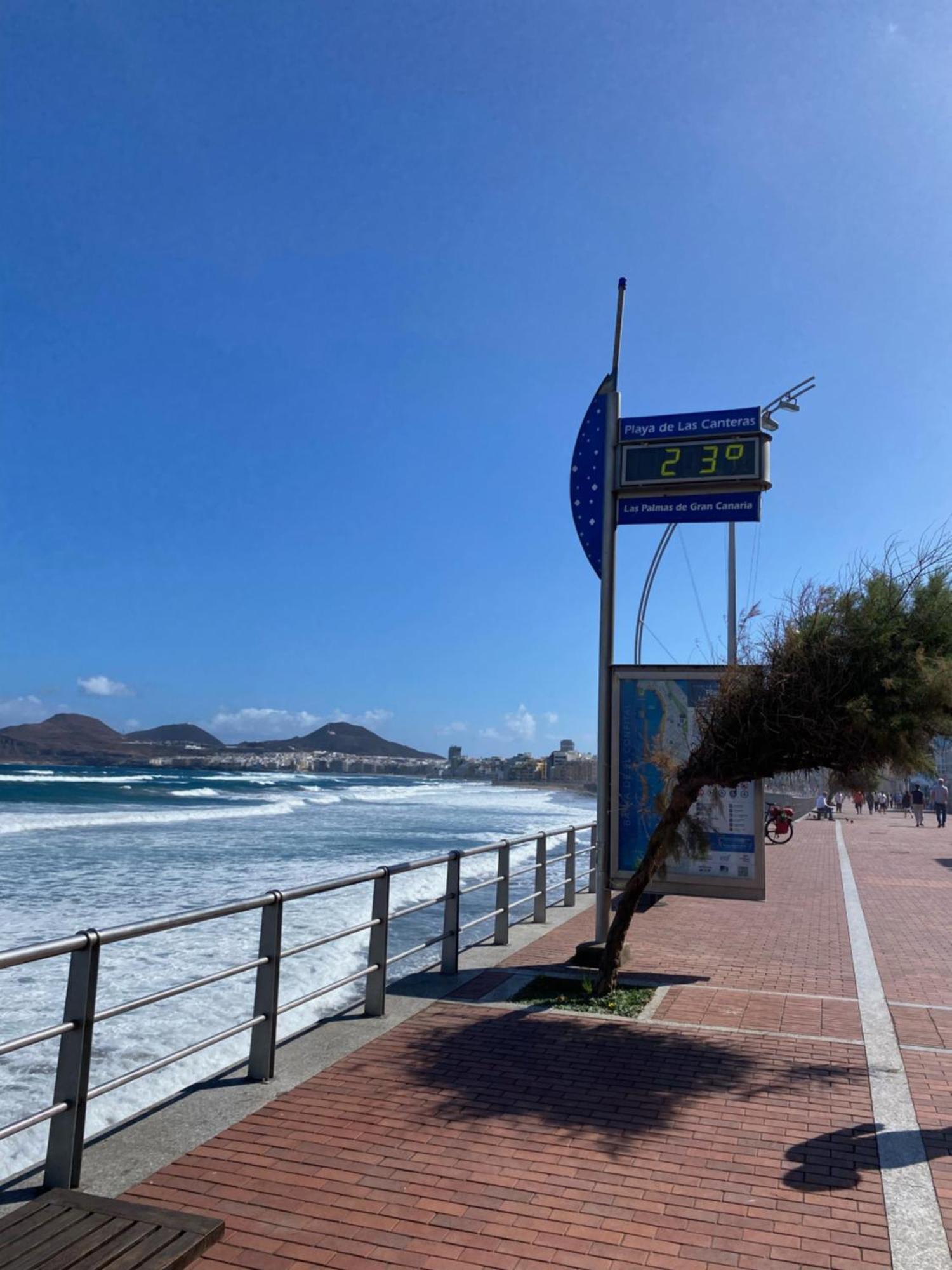 Loft Santa Catalina Park Lägenhet Las Palmas de Gran Canaria Exteriör bild